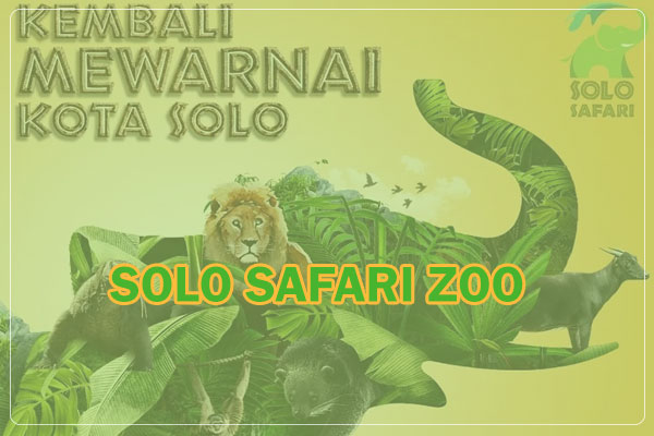 Solo Safari Zoo